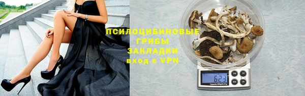 молекула духа Михайловка