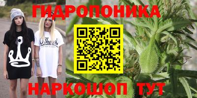 ешки Волжск