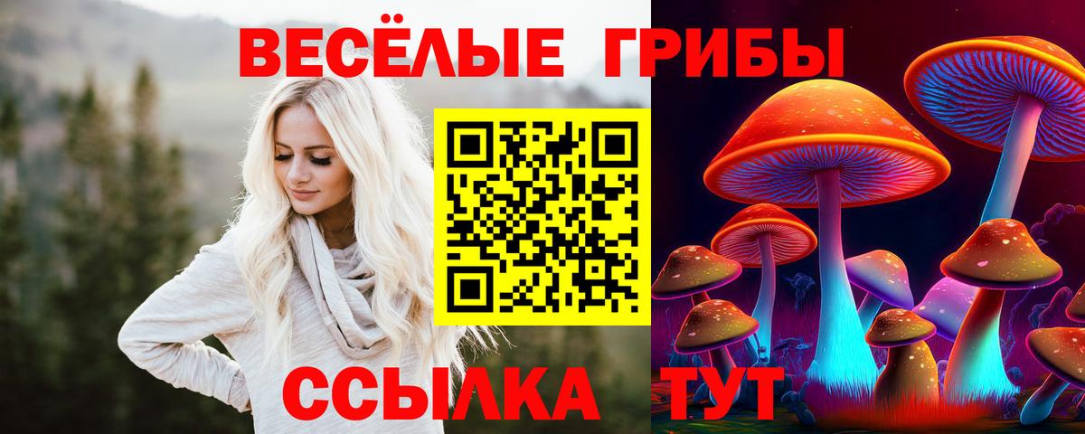 Галлюциногенные грибы Cubensis Реутов