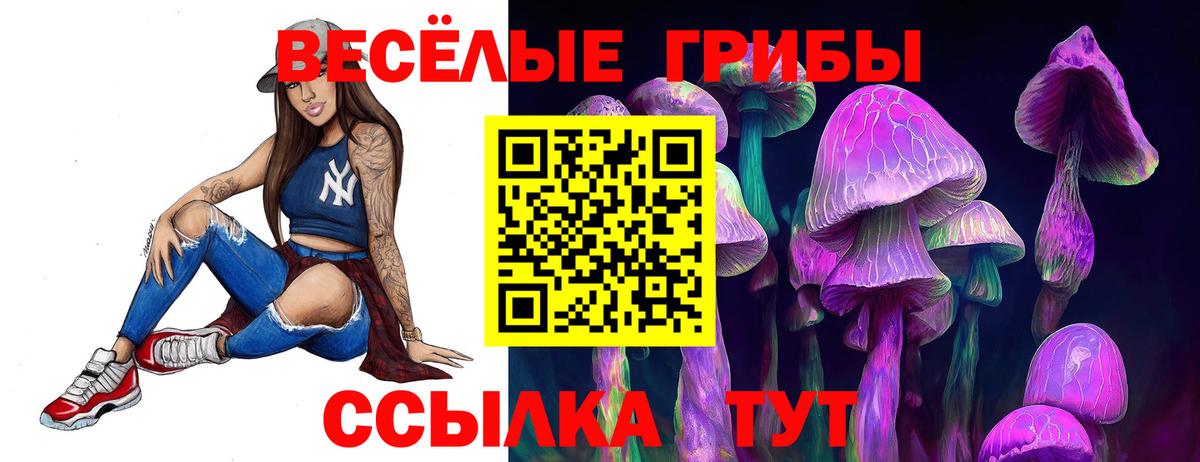 Галлюциногенные грибы Psilocybe  Реутов 